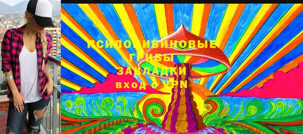 твердый Медвежьегорск