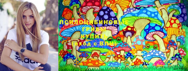 твердый Медвежьегорск