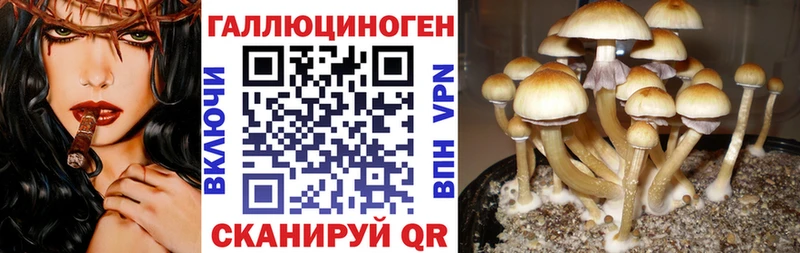 продажа наркотиков  Ленинградская  Псилоцибиновые грибы Magic Shrooms 